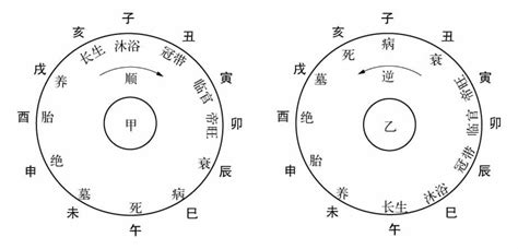 生旺墓|讲解十天干与生旺墓绝